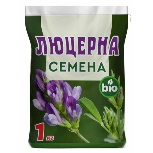 ������ ������ ������� ������ ��� ������ ����