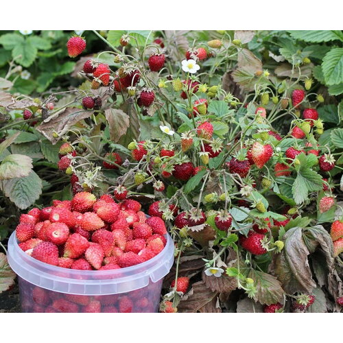 ������ ������ ��������� ���������� ������������ ������� 0.05 ������ ����� ������� ������ ����