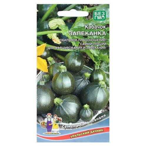 ������ ������ ������� ��������� ~ 6 ����� (5��.) ����