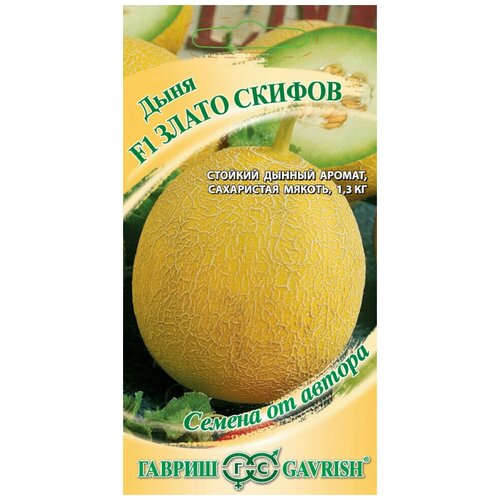 ������ ������ ������ ���� ����� ������ F1, 15��, ������, ������ �� ������ ����