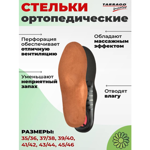 ������ ������ ������� ������������� Daily Support, ����������/������, �.35/36 ����