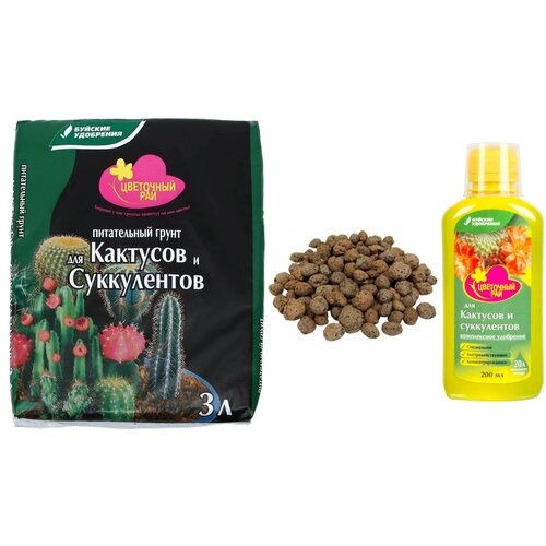 ������ ������ ����� ��� �������� � ����������� (�����, ��������� � ������) ����