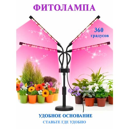 ������ ������ ��������� ������� ������� ��� �������� � ������� ����