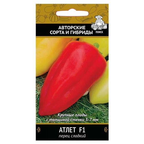 ������ ������ ������ ����� ������� 