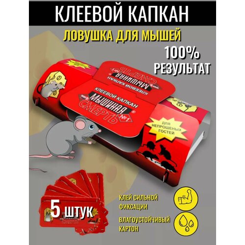 ������ ������ ������� �������, ������� ������, ������� ������ -5�� ����