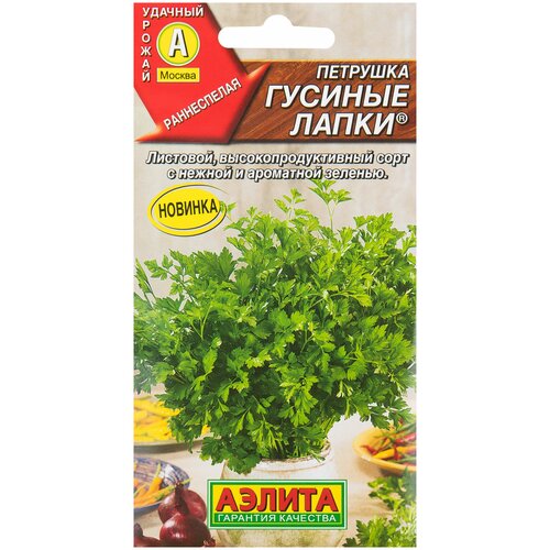 ������ ������ ������. �������� �������� 