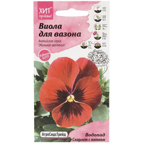 ������ ������ ����� 