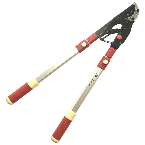 ������ ������ ��������  Mr.Logo 4650 970 ����