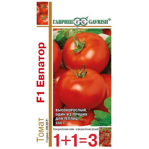 ������ ������ ������� ����� 