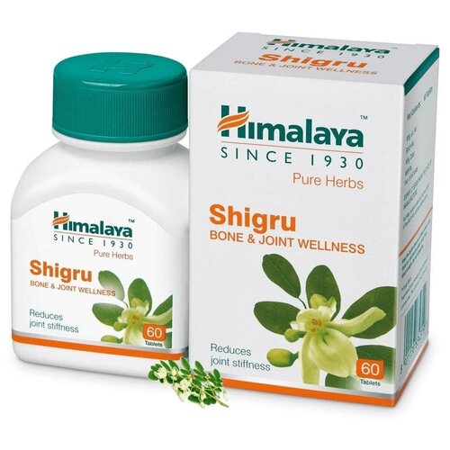 ������ ������ ������� �������� ����� (Shigru) ��� ��������, ��� ������� � ����������, ��������������������� ��������, 60 ���. ����