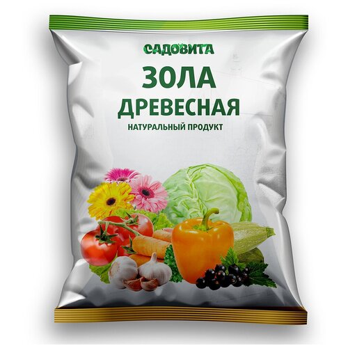 ������ ������ ���� ��������� �������� 1�. ����