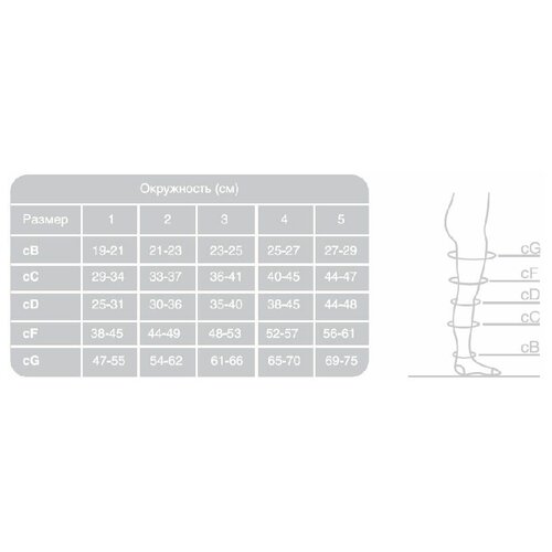 ������ ������ ����� Ergoforma 227 ������������������, 2 �����, ������: 1, �����: 65-74 ��, ����� ����
