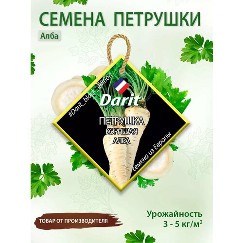 ������ ������ ������ �������� �������� ���� Darit Black Edition 8 � ����