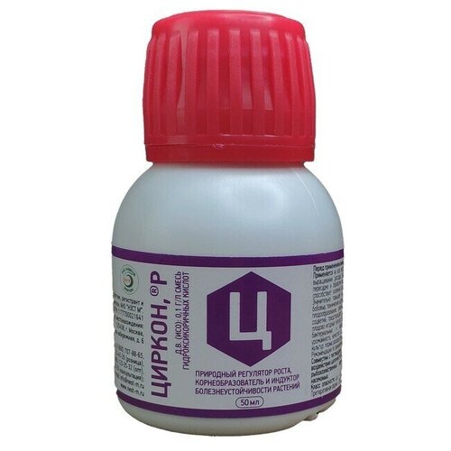 ������ ������ ��������� ����� ���� � ������ (50�� ) ����