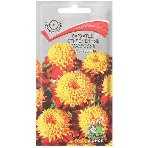 ������ ������ �������� ����������� �������� Ƹ���� ������� ����