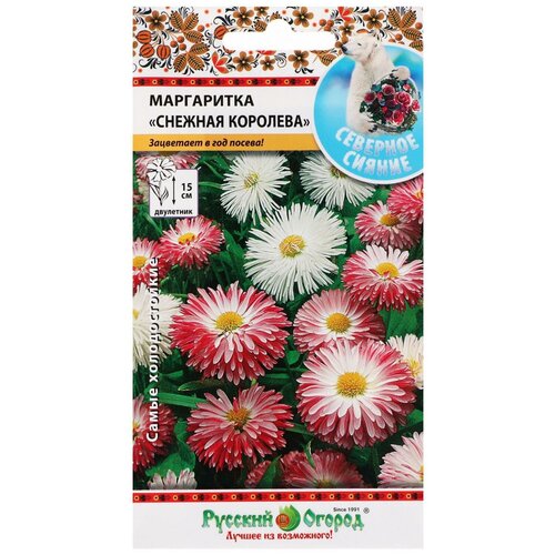 ������ ������ ������ ������� ������ �������� ������ ���������� ������� �������� �����, 300 ��. ����