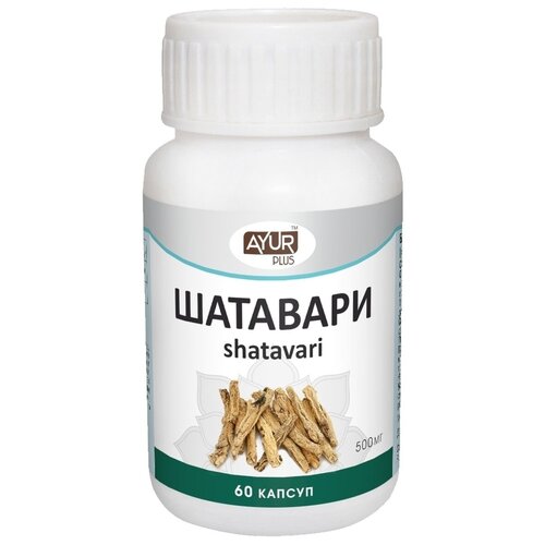 ������ ������ ��������, 60 ������ ����