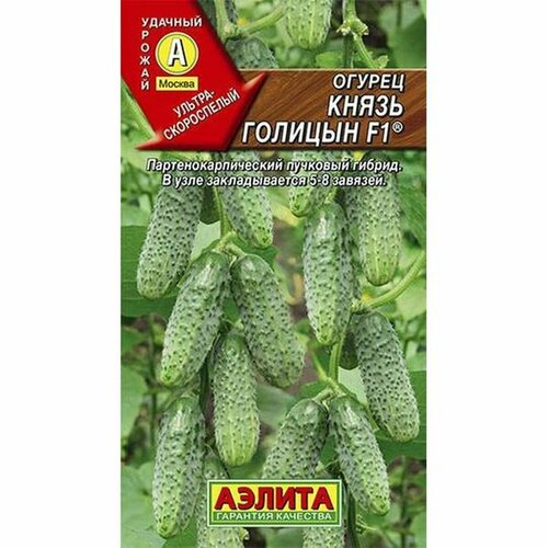 ������ ������ ������ ������ ����� ������� F1 ����, �����������, (������) 10�� ����