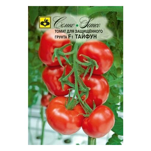 ������ ������ ������ ����� ������ F1 10�� ����� ������ (�����) ����