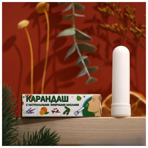 ������ ������ ��������-��������� �� �������� � ����� � ���������� ����