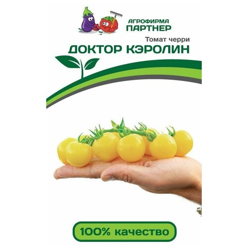 ������ ������ ������ ����� ������ ������� (10 �����) - ������� ����