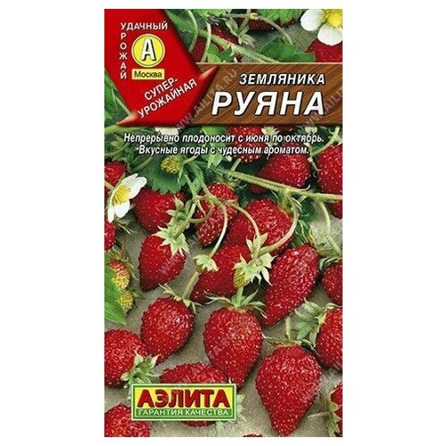 ������ ������ ��������� ����� ���������� 0,04� ������ ����