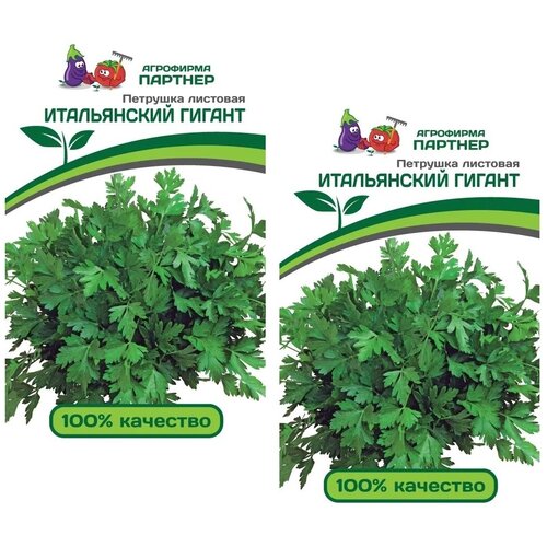 ������ ������ ������ �������� �������� ����������� ������ /��������� �������/ 2 �������� �� 2 � ����� ����