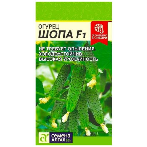 ������ ������ ������ ������ 