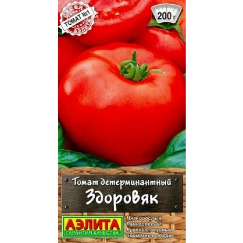 ������ ������ ������ ����� �������� 20�� ��� ������ (������) ����