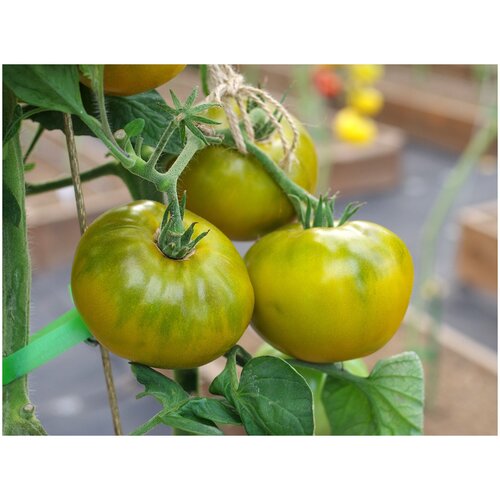 ������ ������ ������ ������ 