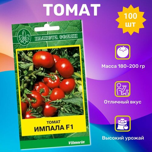 ������ ������ ������ ������ ������ F1 100��. ���������� �������� ����