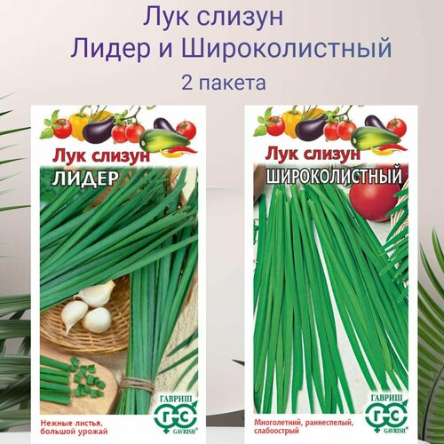 ������ ������ ��� ������ ����� � ������������� 2 ������ �� 0,5� ����