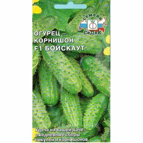 ������ ������ ������ ������ �������� F1 (�����) 0,3� ����