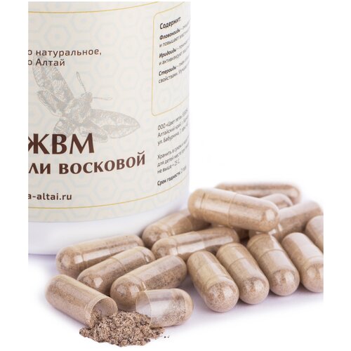 ������ ������ ���� - ������� ����������������� �������� ���� ������� ������� 3� - ��������� ������������ ����