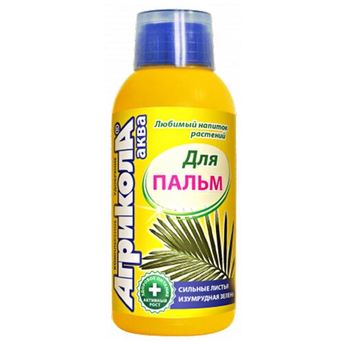 ������ ������ ��������� ��� ����� ��������� ���� 250�� ����