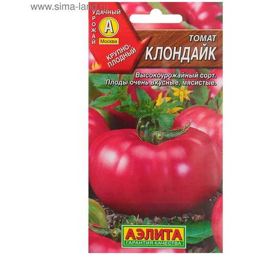 ������ ������ ������ ����� �������� 20�� ����� (������) ����