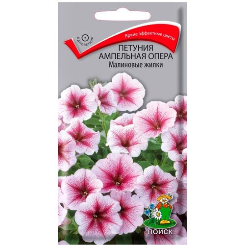 ������ ������ ������ ����� ������� ��������� ����� ��������� ����� 5 ��. ����