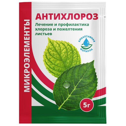 ������ ������ ��������� ��������� ����������, 5 � ����