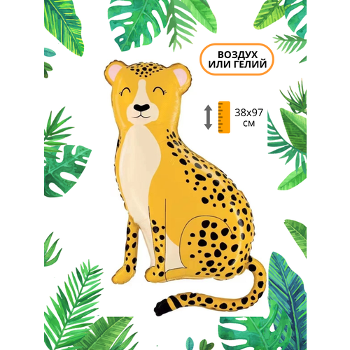 ������ ������ ��������� ��� �������������� ������ ������ ����