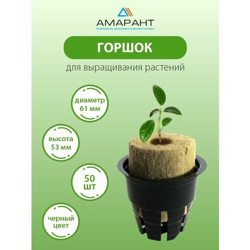 ������ ������ ������ ������� ��� ������� � ������������� ��������� 50 �� ������ ����