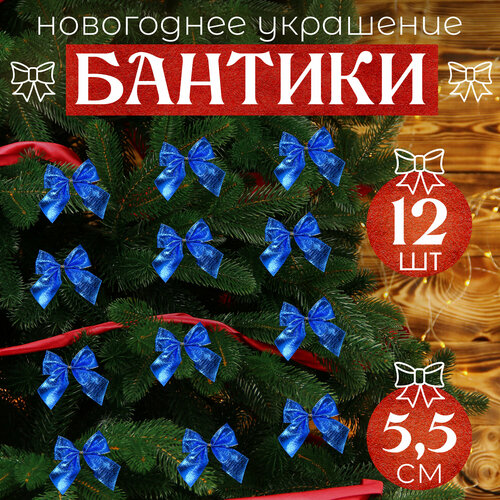 ������ ������ ����� �� ���� ����� 12�� 5,5�� ����