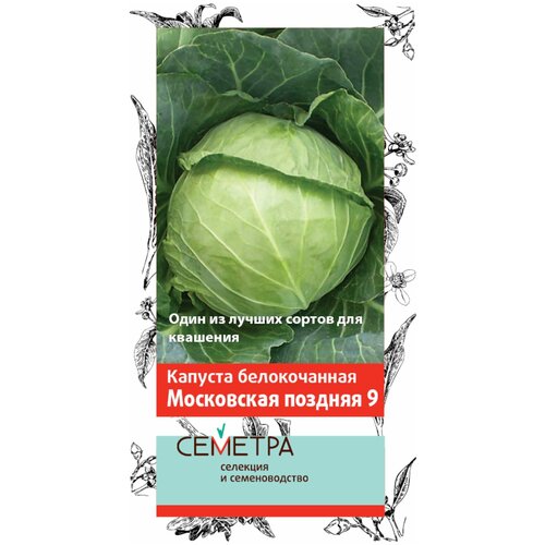 ������ ������ ������� ������������ ���������� ������� 9 0.5 � ����