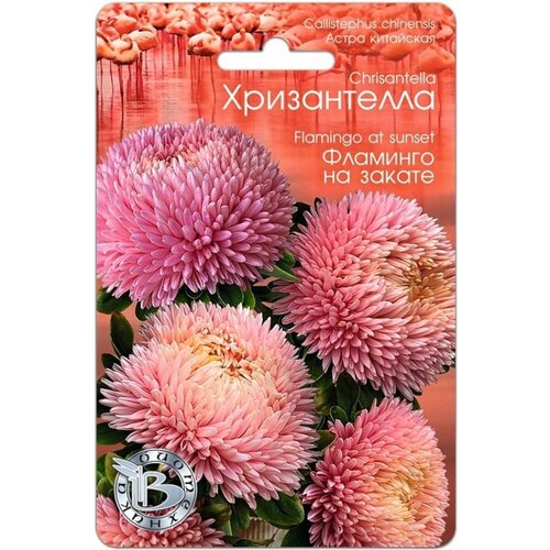 ������ ������ ������ ����� ��������� ����������� 