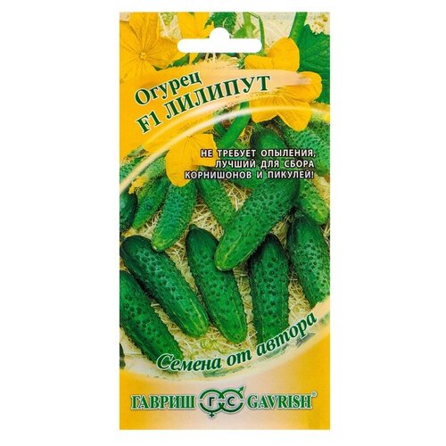 ������ ������ ������ ������ ������ �� ������ ������ �������, F1, 10 �� ����