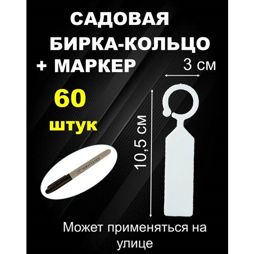 ������ ������ ������� ����� ������ 60 ���� ����