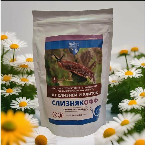 ������ ������ ���������� ������� �� ������� � ������, 1 �� ����