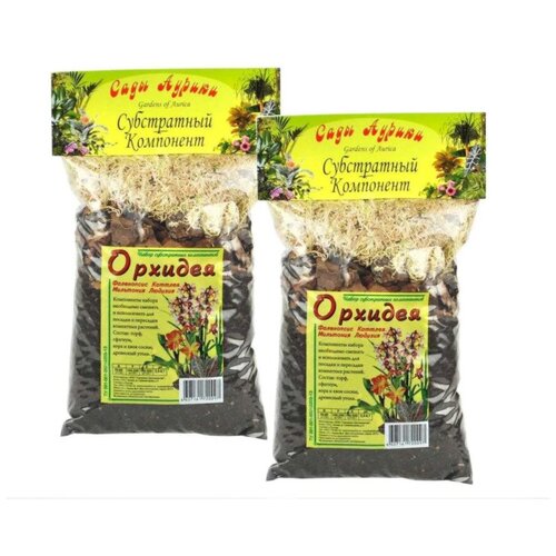 ������ ������ �������� 