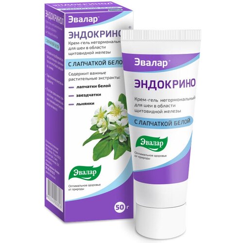 ������ ������ ���������� ����-����, 50 �� ����