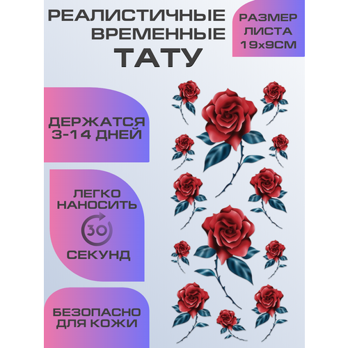 ������ ������ ���� ���������� ��������������, ��������� ������� ���� ����