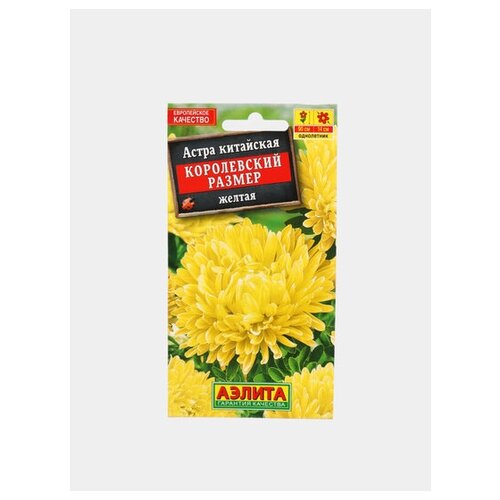 ������ ������ ������. ����� 